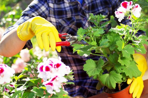 Front view of a gardener inspecting a small urban garden