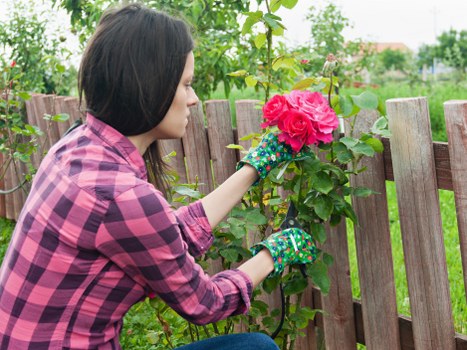 Illustration of a garden with a no-slavery symbol representing policy commitment