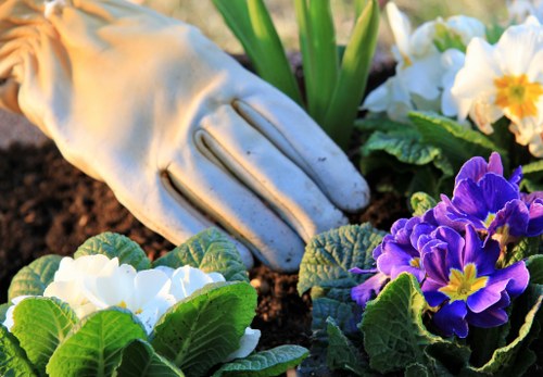 First aid kit and safety cones near gardening equipment