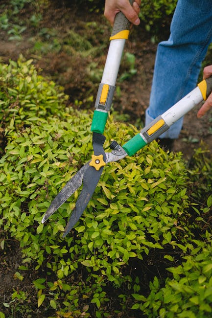 A gardener wearing a black Siemens T-shirt, protective orange helmet with a face shield, and green gloves is outdoors operating an orange chainsaw to trim or cut wooden or shrubbery material. The back